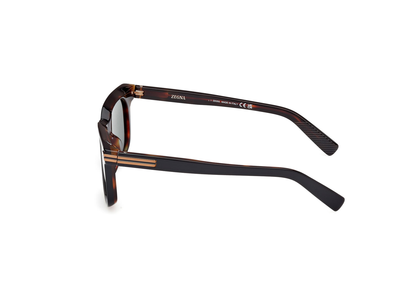 Das Bild zeigt die Bügel der Zegna Sonnenbrille 0248 in schwarz., Zubehor, Brillen, Sonnenbrille